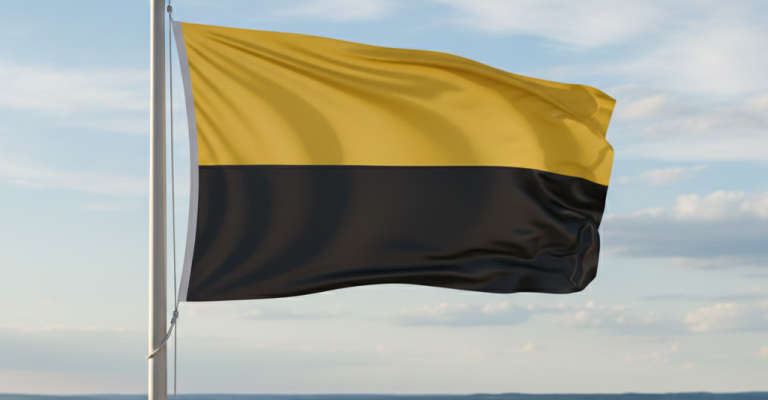 🏰🦅📍Sachsen‑Anhalt  FSP